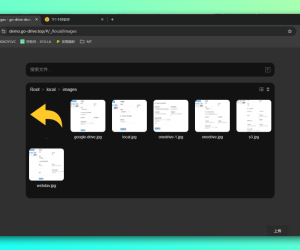 免费快速搭建私人云盘、Alist 代替品：go-drive