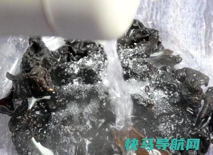 泡木耳，头天泡第二天吃坏习惯要不得，用这招，1分钟