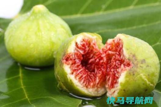 无花果烘干保存无花果保存