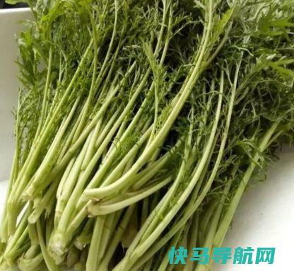 农村这种野菜，可以用来做咸菜，对咳嗽牙龈上火很管