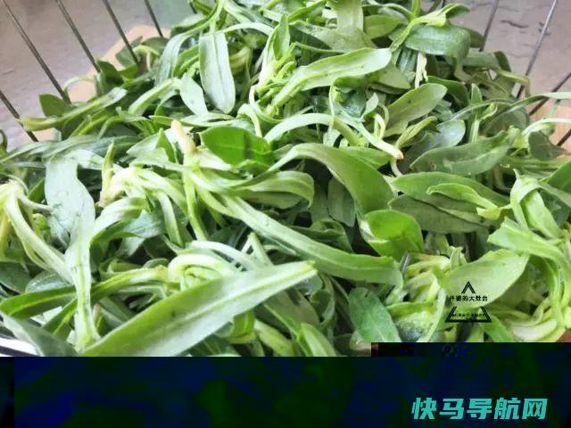 冬天这野菜不好找，再难也要让孩子吃，润肺止咳，连医