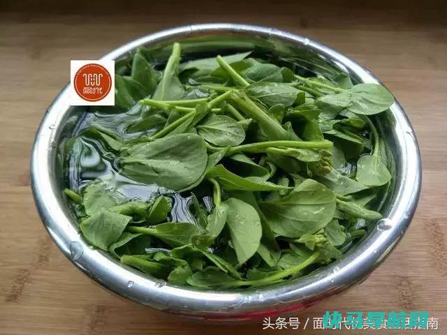 这菜含钙极高，好吃又养脾，孩子吃最好，提高免疫抗力