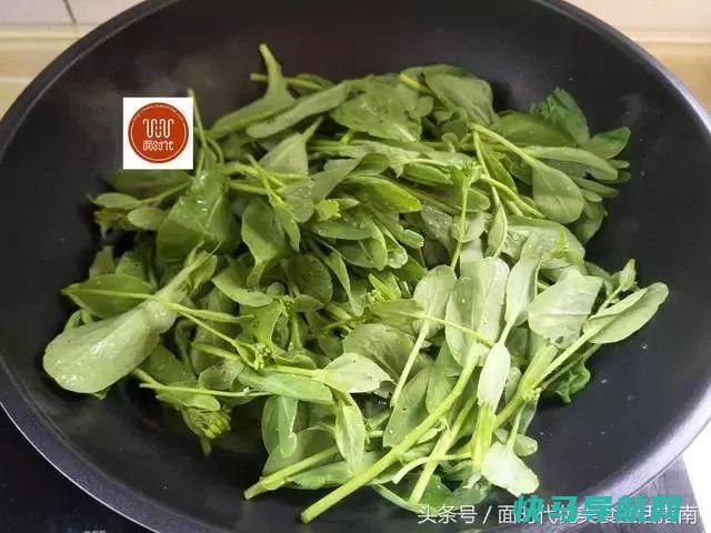 这菜含钙极高，好吃又养脾，孩子吃最好，提高免疫抗力