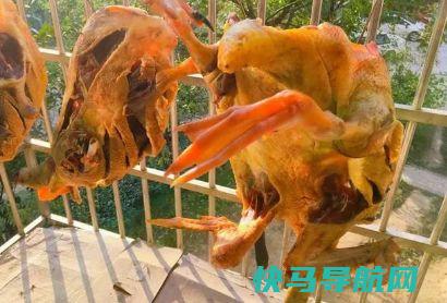 68岁的湖南奶奶教你腌腊肉，腊肉黄里透红，咸淡适口