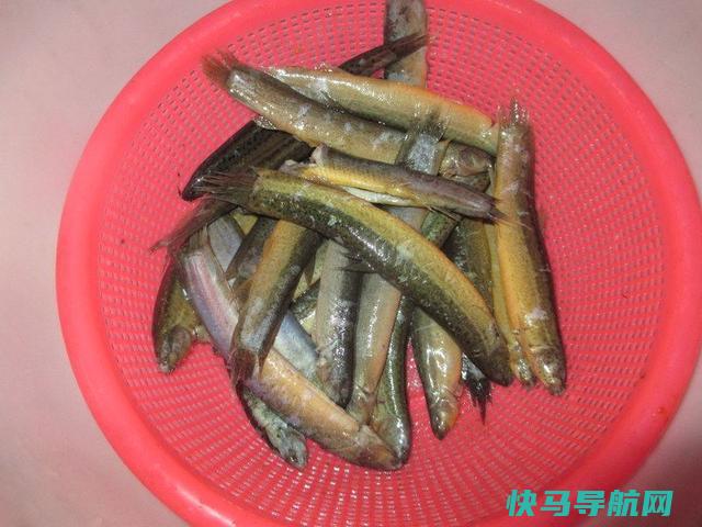 泥鳅这样做，简单方便营养足，学会这道菜，家人有口福