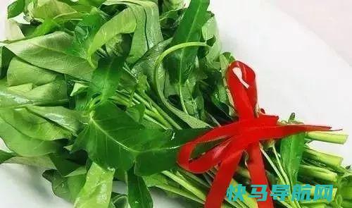 常吃“空心菜”，降压排毒还防癌，不吃点肯定后悔死了！