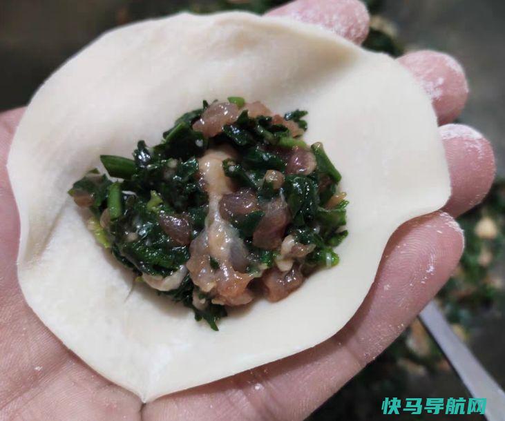 天冷了用它包饺子，比韭菜馅好吃，嘴巴不臭了，排出臭