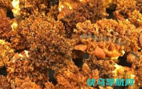 海参花的功效与作用 吃海参花的好处