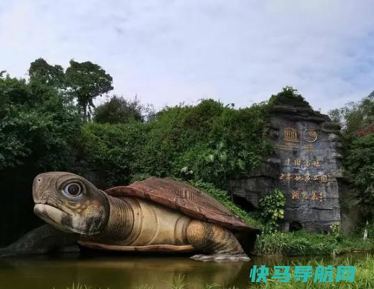 全国十大值得一去的4A景区，神农顶风景区、丹霞山风景名胜区风景美