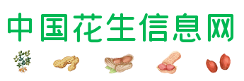 花生信息网:花生价格